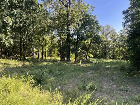 11 Talon Ln, Edgemont, AR 72044