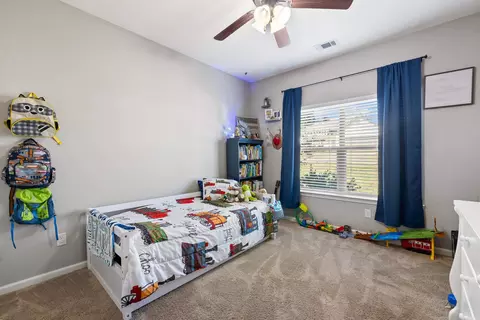 313 Derek Ct, Alexander, AR 72002 photo 10