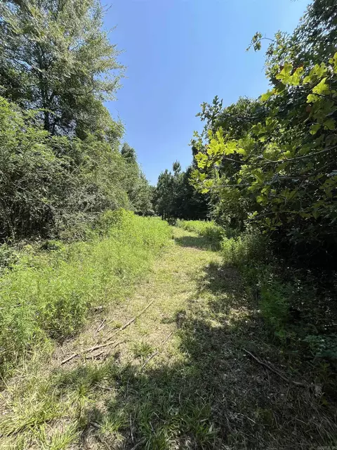 179 Little River 67 Rd, Ashdown, AR 71822 photo 41