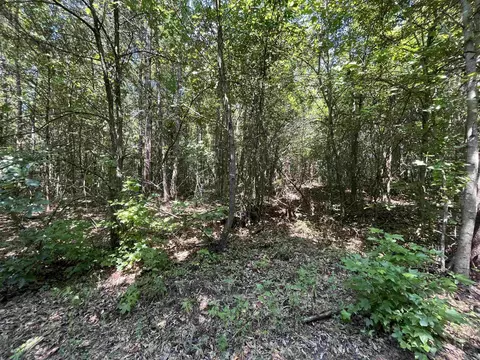 179 Little River 67 Rd, Ashdown, AR 71822 photo 38