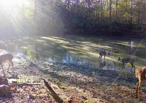 179 Little River 67 Rd, Ashdown, AR 71822 photo 47