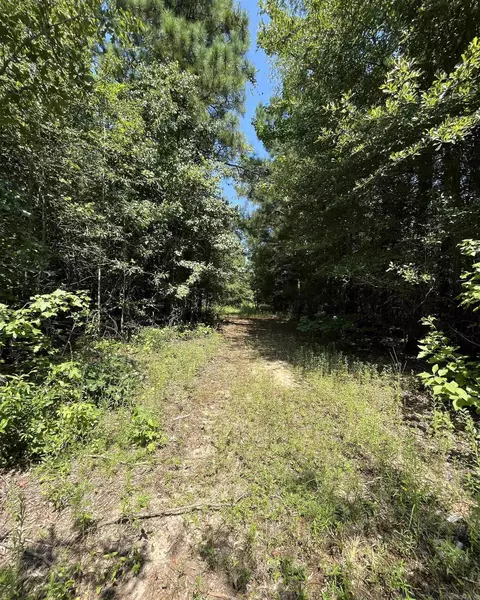 179 Little River 67 Rd, Ashdown, AR 71822 photo 39