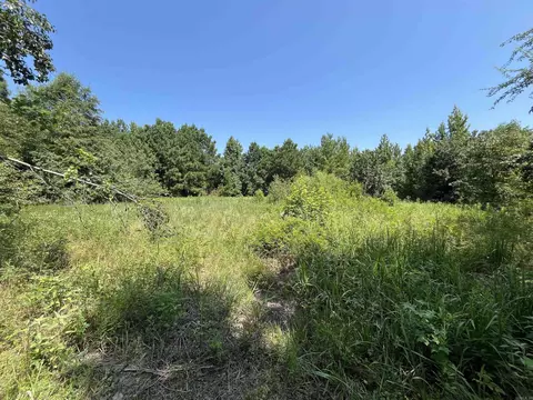 179 Little River 67 Rd, Ashdown, AR 71822 photo 37