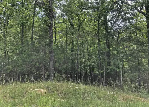 Okmulgee Drive, Cherokee Village, AR 72529