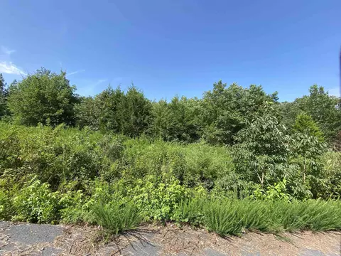 lot6 7 Bluff Dr, Edgemont, AR 72044 photo 6