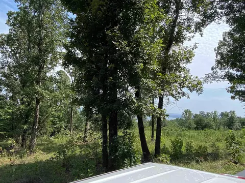 lot6 7 Bluff Dr, Edgemont, AR 72044 photo 5