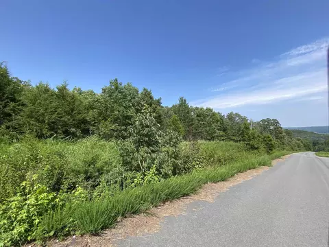 lot6 7 Bluff Dr, Edgemont, AR 72044 photo 7