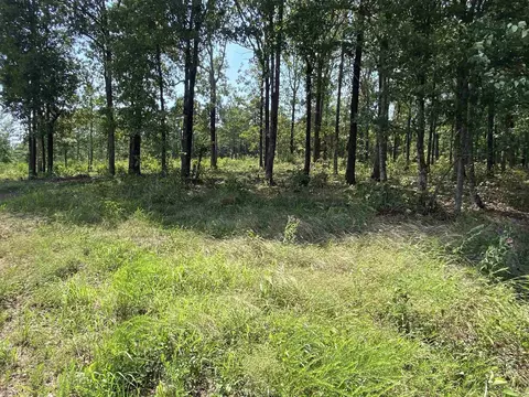 lot6 7 Bluff Dr, Edgemont, AR 72044 photo 3