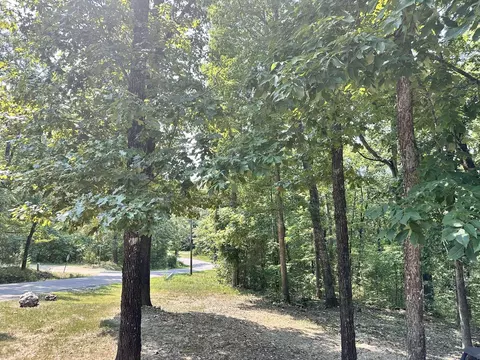120 Frontier Dr, Williford, AR 72482 photo 32