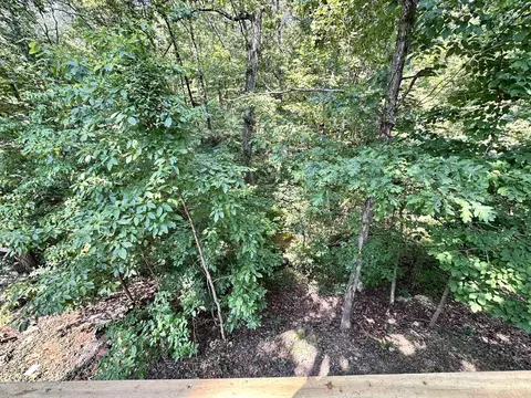 120 Frontier Dr, Williford, AR 72482 photo 30