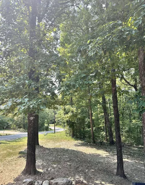 120 Frontier Dr, Williford, AR 72482 photo 31