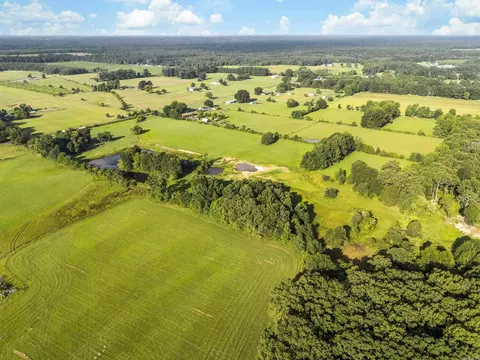 View/Area - 256 Vernon Harvey Rd, Beebe, AR 72012 photo 3 of 9