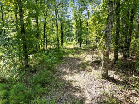tbd Elkins, White Hall, AR 71602 photo 8