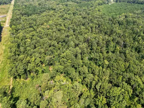 tbd Elkins, White Hall, AR 71602 photo 6