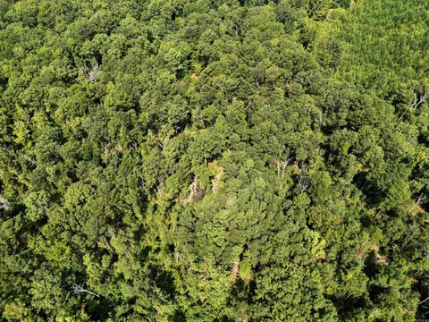 tbd Elkins, White Hall, AR 71602 photo 7