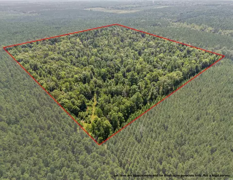 tbd 9808 Forestry Rd, Sheridan, AR 72150