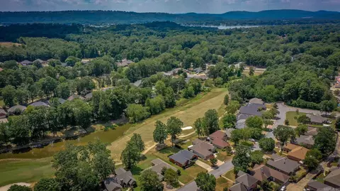 View/Area - 216 Chantilly Cir, Maumelle, AR 72113 photo 8 of 10