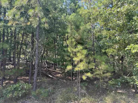 53 Jubileo Way, Hot Springs Village, AR 71909