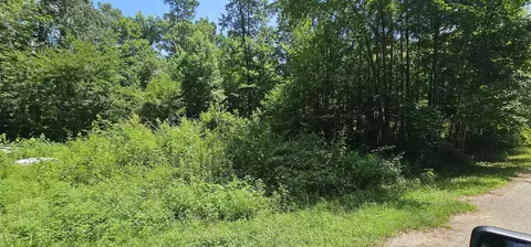 lot5 6blk 3 Williams Rd, Royal, AR 71968