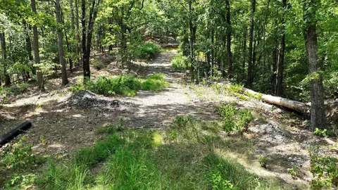 tbd Magic Pine Ln, Mena, AR 71953 photo 22