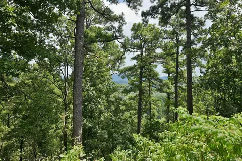 tbd Magic Pine Ln, Mena, AR 71953 photo 41
