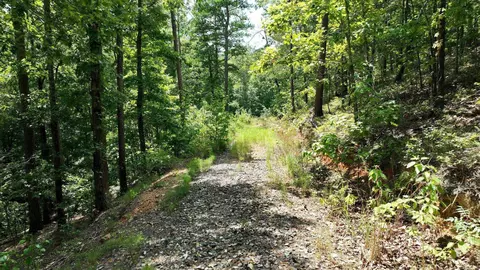 tbd Magic Pine Ln, Mena, AR 71953 photo 45