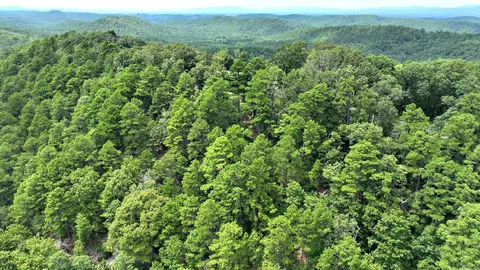 tbd Magic Pine Ln, Mena, AR 71953 photo 32