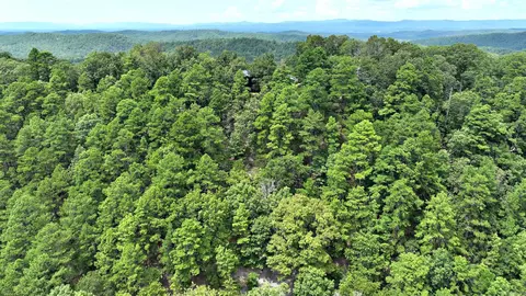 tbd Magic Pine Ln, Mena, AR 71953 photo 31