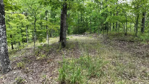 tbd Magic Pine Ln, Mena, AR 71953 photo 48