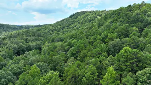 tbd Magic Pine Ln, Mena, AR 71953 photo 16