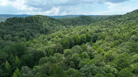 tbd Magic Pine Ln, Mena, AR 71953 photo 18
