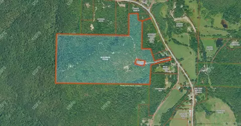 tbd Magic Pine Ln, Mena, AR 71953 photo 4