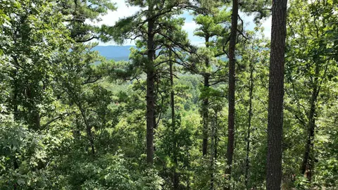 tbd Magic Pine Ln, Mena, AR 71953 photo 34