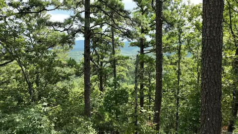 tbd Magic Pine Ln, Mena, AR 71953 photo 35