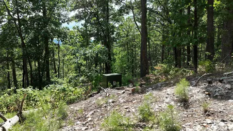 tbd Magic Pine Ln, Mena, AR 71953 photo 19