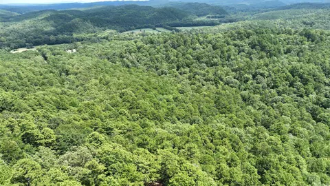 tbd Magic Pine Ln, Mena, AR 71953 photo 43