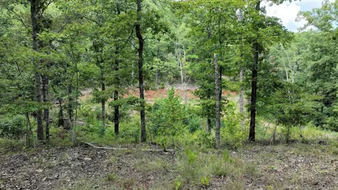 tbd Magic Pine Ln, Mena, AR 71953 photo 49