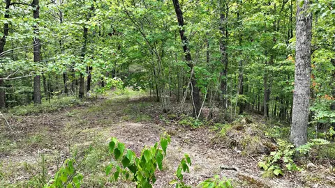 tbd Magic Pine Ln, Mena, AR 71953 photo 47