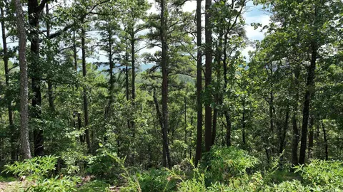 tbd Magic Pine Ln, Mena, AR 71953 photo 21
