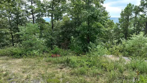 tbd Magic Pine Ln, Mena, AR 71953 photo 27