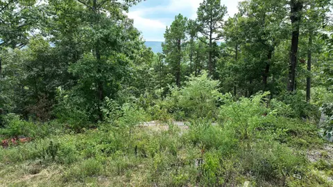 tbd Magic Pine Ln, Mena, AR 71953 photo 26