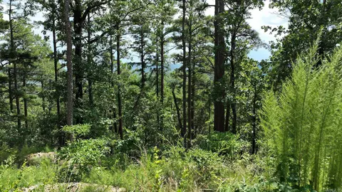 tbd Magic Pine Ln, Mena, AR 71953 photo 20
