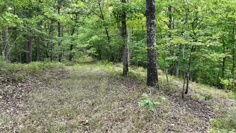 tbd Magic Pine Ln, Mena, AR 71953 photo 50