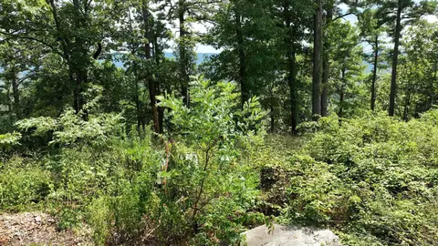 tbd Magic Pine Ln, Mena, AR 71953 photo 25
