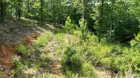 tbd Magic Pine Ln, Mena, AR 71953 photo 46