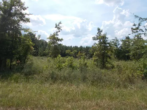 1705 Grant 53, Sheridan, AR 72065
