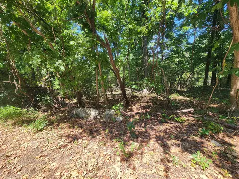 L28, Cherokee Village, AR 72529