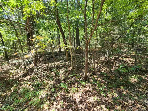 L-50, Highland, AR 72529 photo 9
