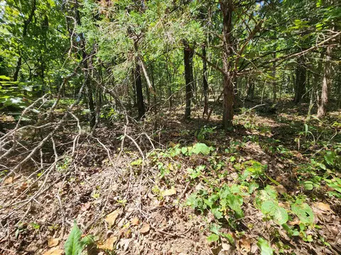 L-50, Highland, AR 72529 photo 17