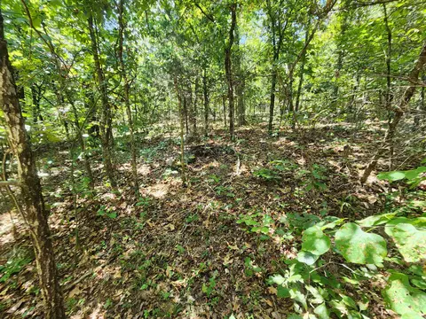 L-50, Highland, AR 72529 photo 8